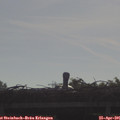08_55-mast.jpg