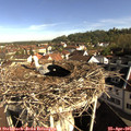 08_55-nest.jpg