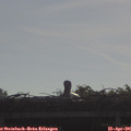 09_00-mast.jpg