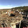 09_00-nest.jpg