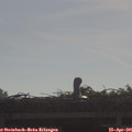 09_05-mast.jpg