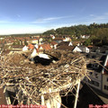 09_05-nest.jpg