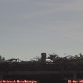 09_10-mast.jpg
