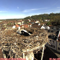 09_10-nest.jpg