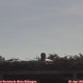 09_15-mast.jpg