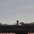 09_25-mast.jpg