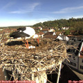 09_30-nest.jpg