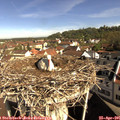 09_35-nest.jpg