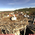 09_40-nest.jpg