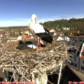 10_05-nest.jpg
