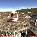 10_25-nest.jpg