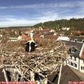 11_40-nest.jpg