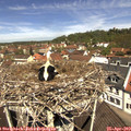 11_45-nest.jpg