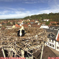 11_55-nest.jpg