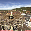 12_05-nest.jpg