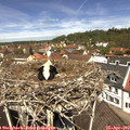 12_10-nest.jpg