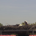 12_20-mast.jpg
