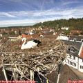 12_25-nest.jpg