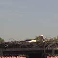 12_30-mast.jpg