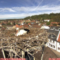 12_30-nest.jpg