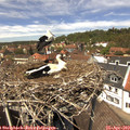 13_15-nest.jpg