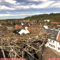 14_05-nest.jpg