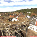 14_10-nest.jpg