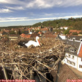 14_20-nest.jpg