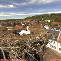 14_25-nest.jpg
