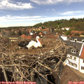 14_30-nest.jpg