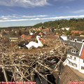 14_35-nest.jpg