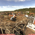 14_40-nest.jpg
