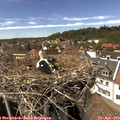 14_50-nest.jpg