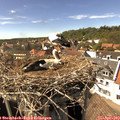 15_30-nest.jpg