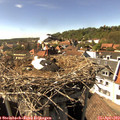 16_00-nest.jpg