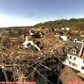 16_35-nest.jpg