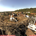 16_45-nest.jpg