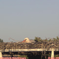 18_45-mast.jpg