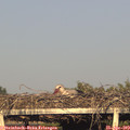 19_05-mast.jpg