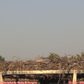 19_20-mast.jpg
