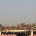 19_25-mast.jpg