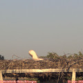 19_35-mast.jpg