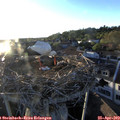 19_40-nest.jpg