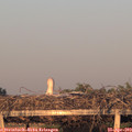 20_05-mast.jpg
