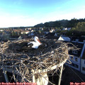 06_45-nest.jpg