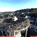 06_55-nest.jpg