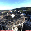 07_00-nest.jpg