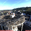 07_05-nest.jpg