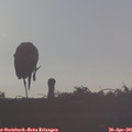 07_10-mast.jpg