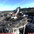 07_20-nest.jpg